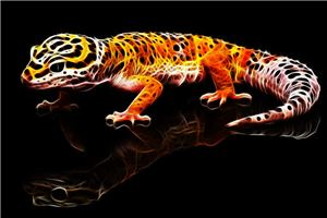 Gecko Testi
