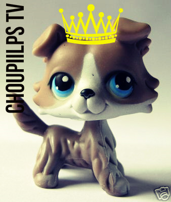 Tu Me Connais Bien ? -Choupiilps