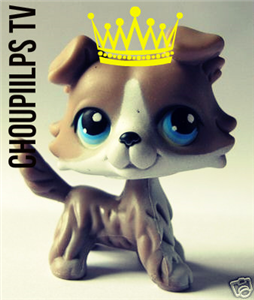 Tu Me Connais Bien ? -Choupiilps