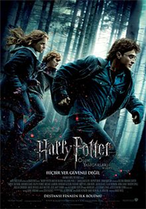 Hangi Harry Potter Karakterisin