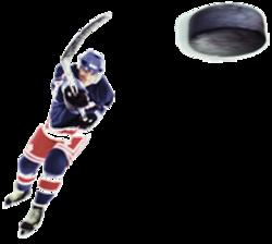 Extreme Ice-Hockey Fans