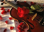 Who Has The Most Romantic Voice