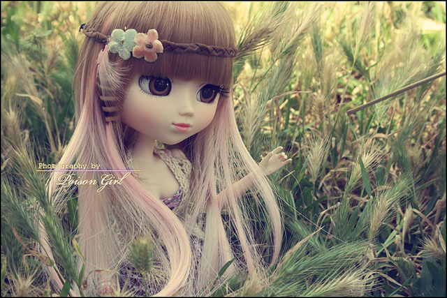 Quelle Pullip Représente-Tu?