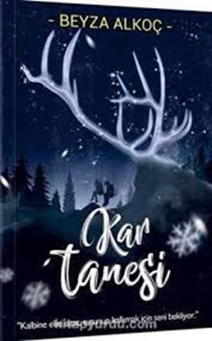 Hangi wattpad kitabısın?