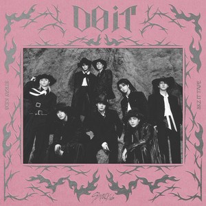 Sn ne tur bir staysin