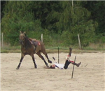 Quelle Niveaux A Tu As Cheval 