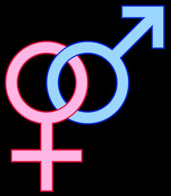 Hetero Ou Homo ?