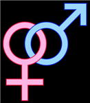 Hetero Ou Homo ?