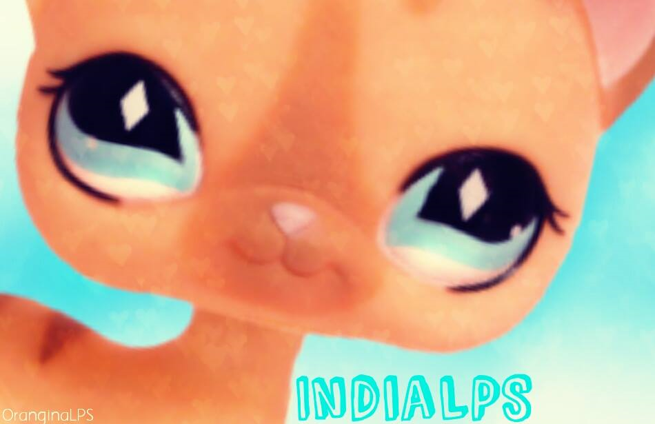 Connais-Tu India Lps? 