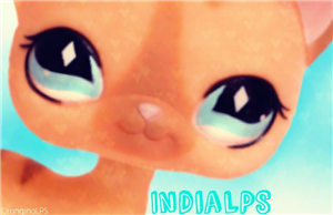 Connais-Tu India Lps? 