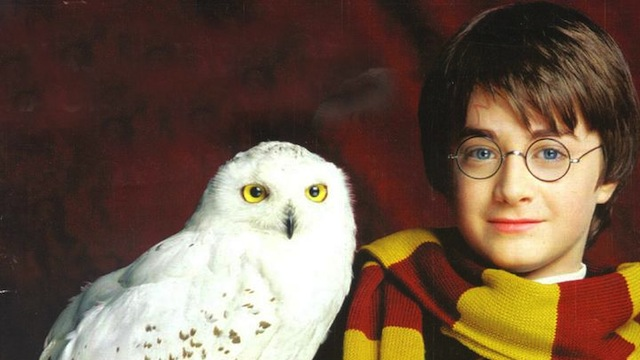 Hangi Harry Potter Karakterisin