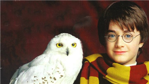 Hangi Harry Potter Karakterisin