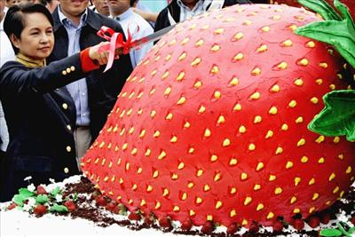 Com Ou Sem Fome?