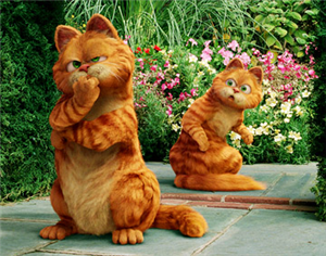 Garfield De Kimsin