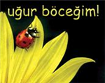 Şans Kapıyı Vuracak Baksen