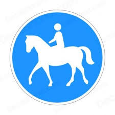 Is Horse Riding A Cruel Sport?