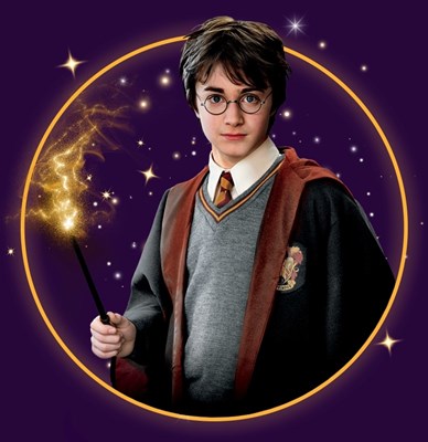 V jaké koleji bys byl v Harry Potterovi