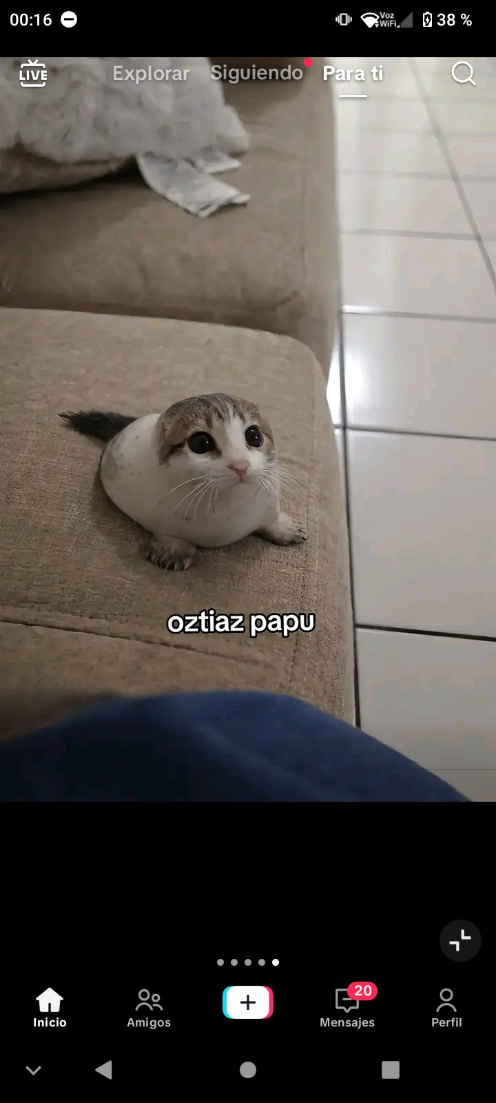 Que tan uwu onichan eres 🩷😳