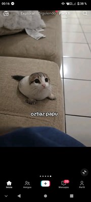 Que tan uwu onichan eres 🩷😳