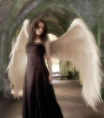 Are  U Angel Or Devil?