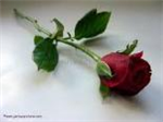 Give A Gift