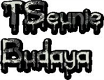 Tseunie Budaya