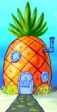 Spongbob Quiz 