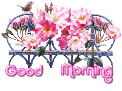 Good Morning ♥