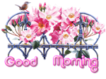 Good Morning ♥
