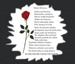 Kimi Takip Ediyorsun