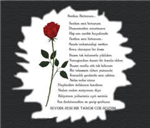 Kimi Takip Ediyorsun