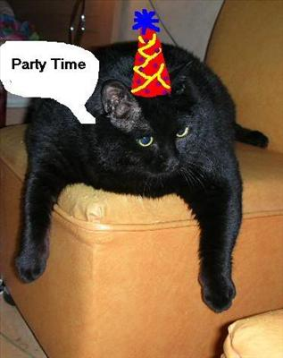 Party In Berlin