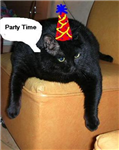 Party In Berlin
