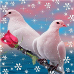 I Love You Gifts