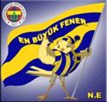 Taraftar Anketi