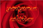 Ask´Siz Yasamayanlarr..