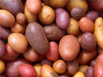 What Colour Potato Do You Like?