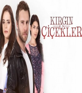 İçindeki Kırgın Çiçekler Kim?