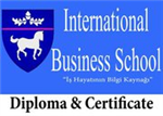 International Business School