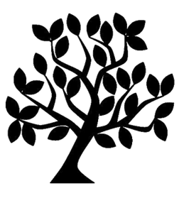 ¿Qué Árbol Mexicano Eres?