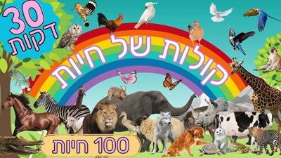 חידון איזה חיה אתה?