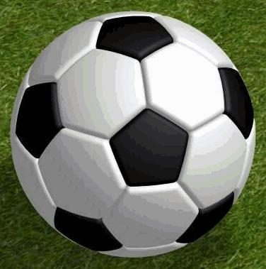 Which Is The Best Sport ?.