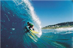 Surf Or Ski?