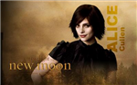 What Vampire R U?