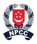 What Kind Of Npcc Cadet Are You?