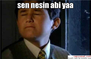 Sen Nesin