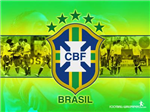 Coupe De Monde 2010