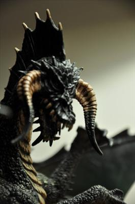Chromatic Dragon Are You?