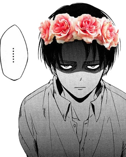 Es-Tu Un Bon Otaku?