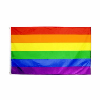 ¿Eres gay?